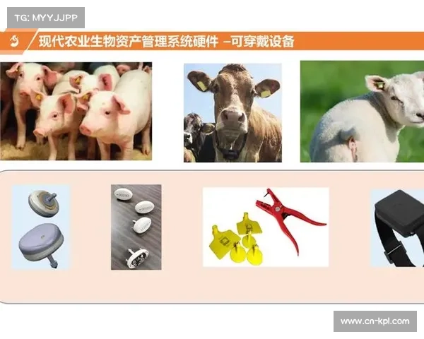 赛事数据分析技术在提升团队战术决策科学化与精准化中的应用研究